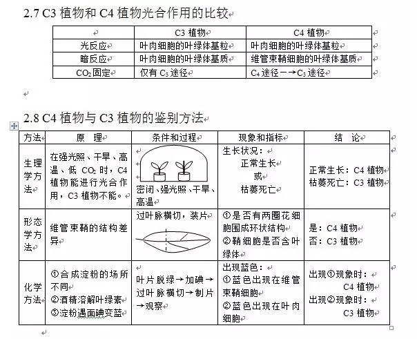 围嘴是什么，定义、用途与相关知识介绍