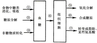 射频卡与外套测量示意图对比